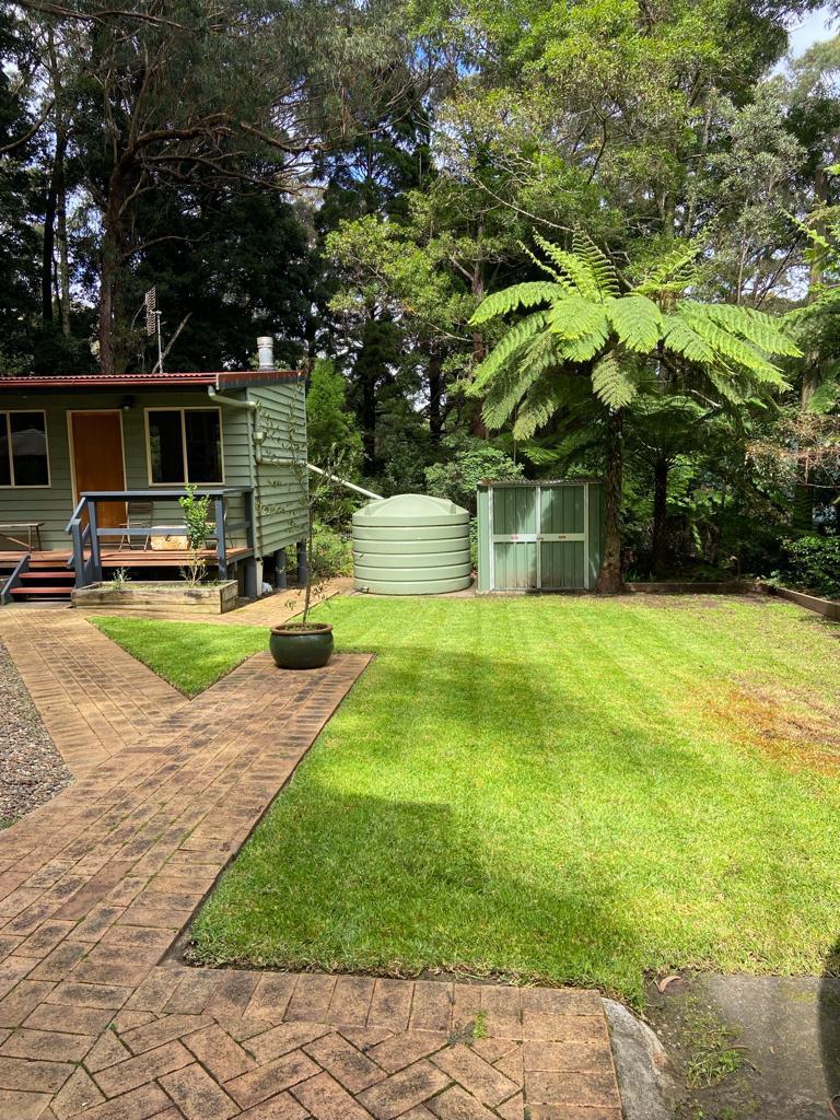 Pathway with plants