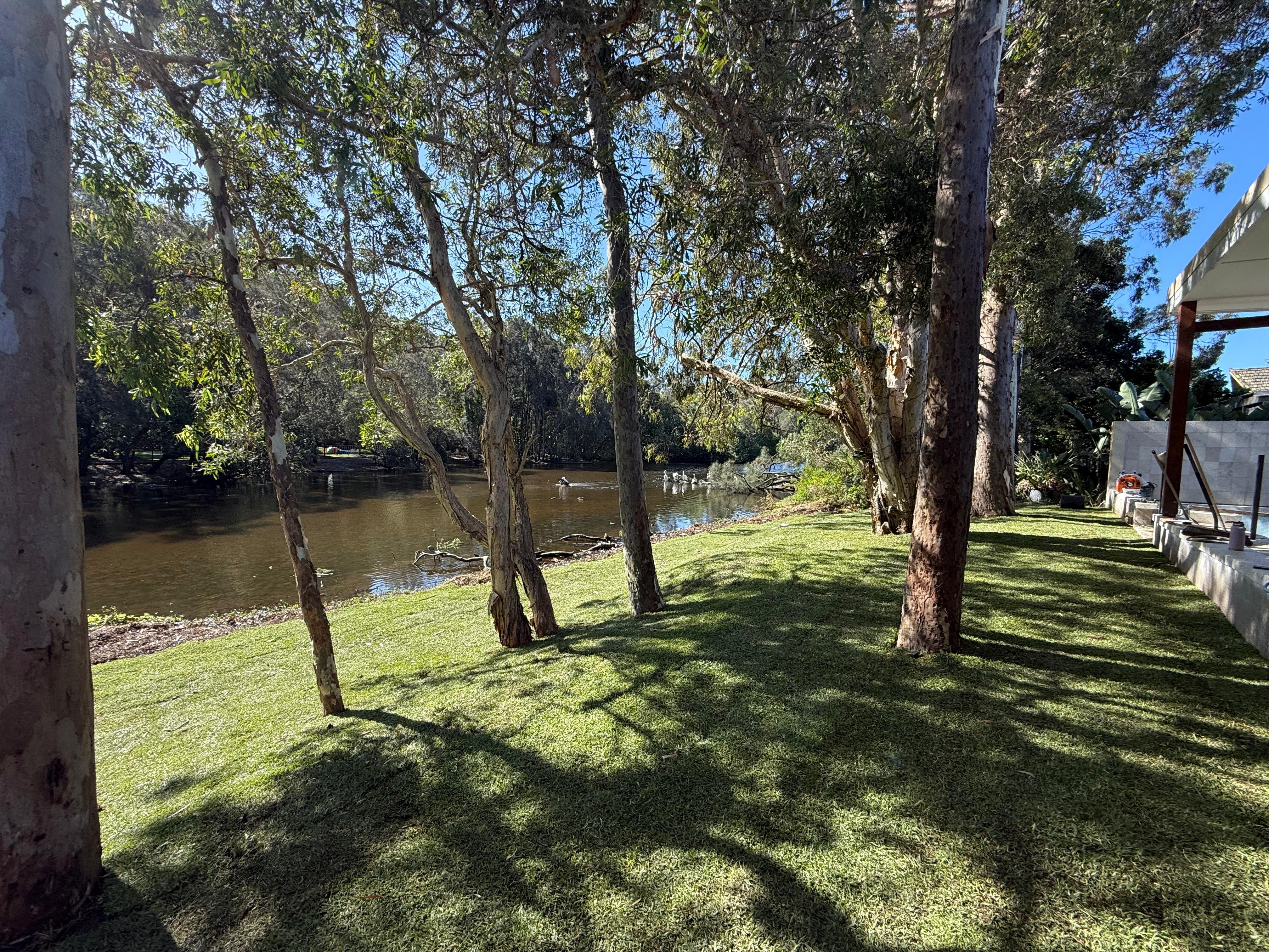 Trimmed Grass Garden