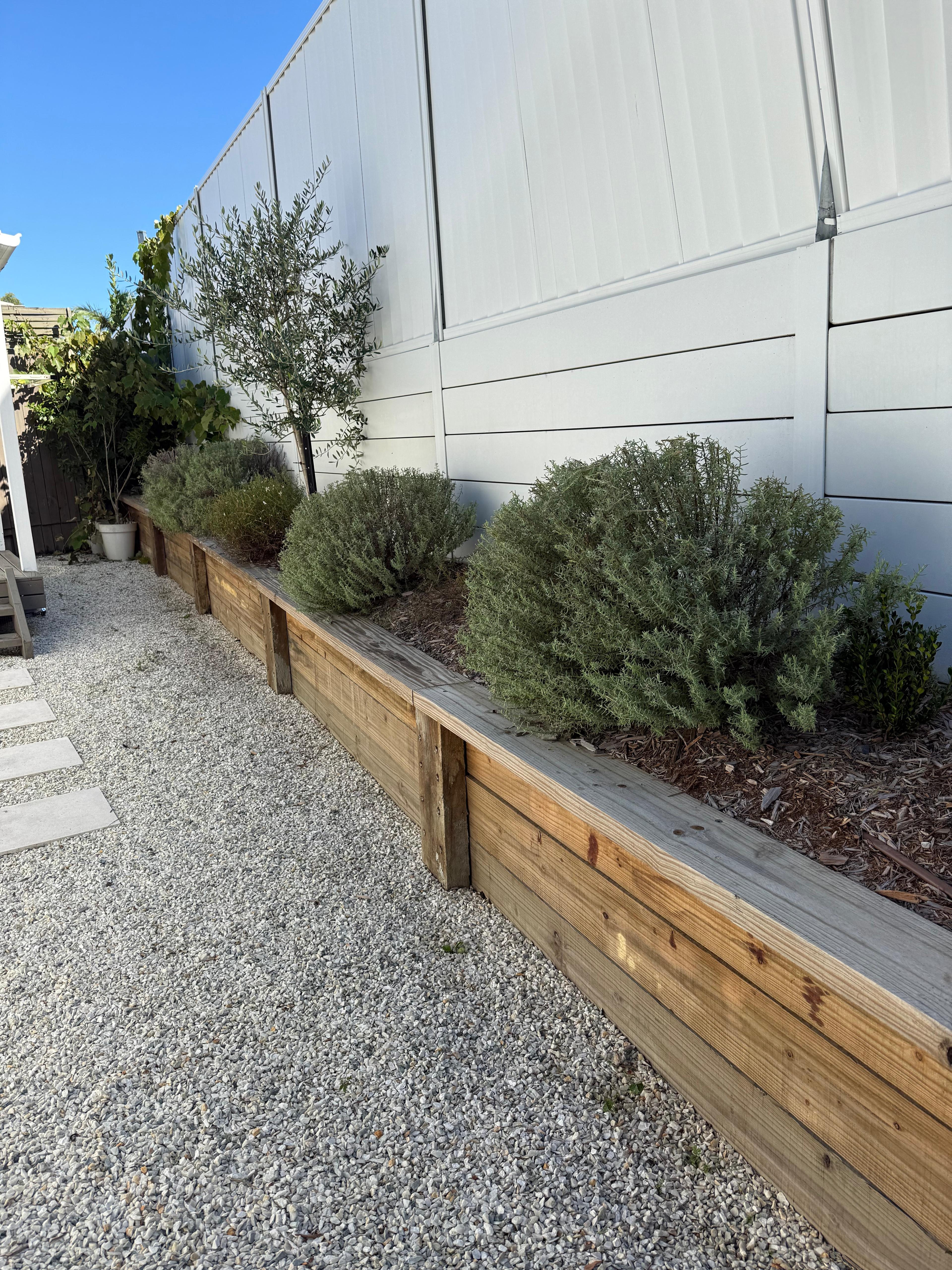Plants Pathways