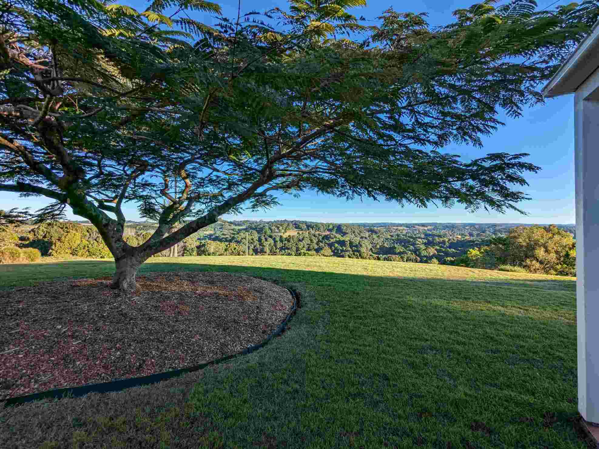 Garden Overview